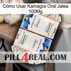 Cómo Usar Kamagra Oral Jalea 100Mg kamagra1